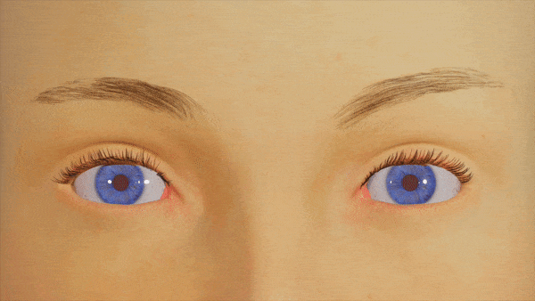 The Final Colouring of the Animation